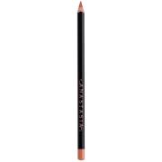 Anastasia Beverly Hills Lip Liner 1.49g (Various Colours) - Warm Taupe