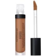 bareMinerals Barepro All-Over Skin-Perfecting Matte Concealer Mineral ...