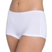 Boxer Feel Sensational (lote 3+1 gratis)