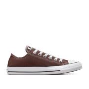 Zapatillas All Star Ox Seasonal Color