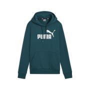 Sudadera con capucha Essentials con logo de felpa